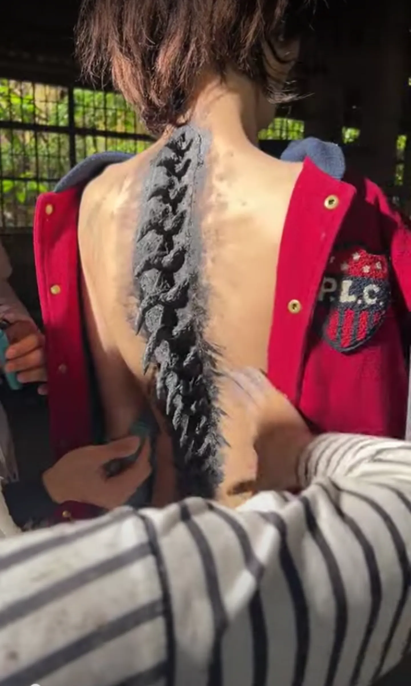 Backbone Sculpt - Image 8